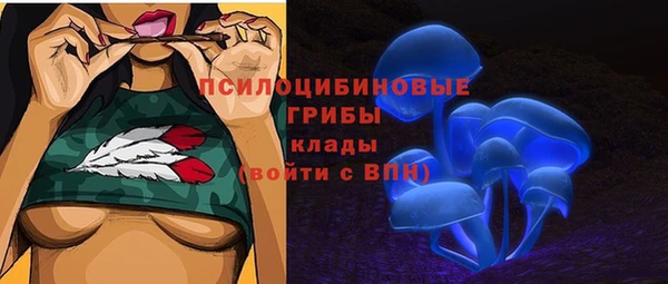 амфетамин Гусь-Хрустальный
