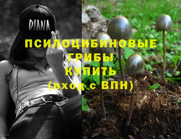 СК Гусиноозёрск