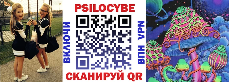 OMG онион  Георгиевск  Галлюциногенные грибы Psilocybine cubensis 