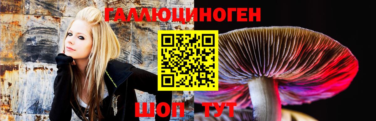 Псилоцибиновые грибы Cubensis Георгиевск