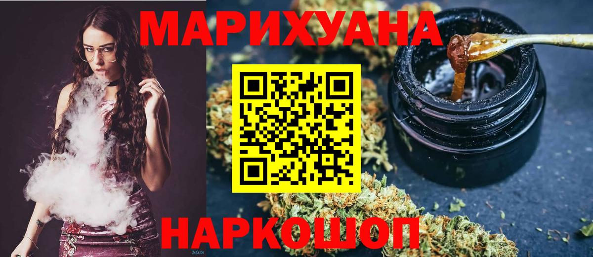 Конопля сатива Георгиевск